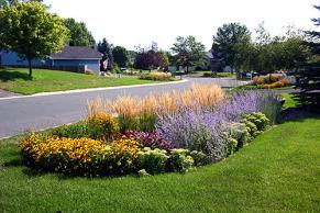 Stormwater rain garden